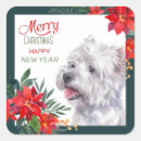 Search for red and white poinsettia stickers Floral