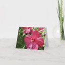 Search for hot stuff photography Floral