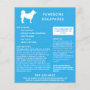 Search for pet sitter flyers Modern