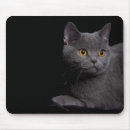 Search for shorthaired mousepads Pet