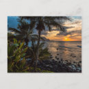 Search for andrews postcards Coast
