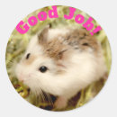 Search for cute hamster stickers Funny