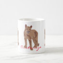 Search for mountain lion mugs Puma
