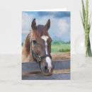 Search for bridled Pony