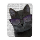 Search for black cat magnets Animals