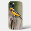 Search for baltimore cases Bird