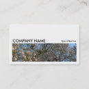 Search for tree photocards Modern