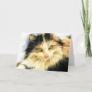 Search for calico cat birthday cards Kitty