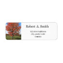 Search for maple tree return address labels Autumn