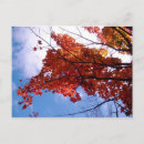 Search for vermont postcards Fall