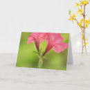 Search for breast cancer support cards Encouragement