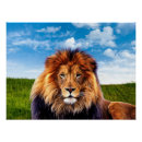 Search for lion king posters Forest
