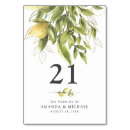 Search for lemon wedding signs Citrus