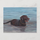 Search for water sport postcards Sporting