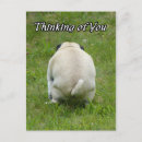 Search for bathroom postcards Dog