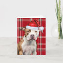 Search for pitbull christmas cards Dogs
