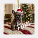 Search for dog mom christmas tree decorations Dogs