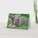 Search for sad birthday cards Grey