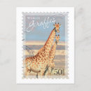 Search for giraffe postcards Wildlife