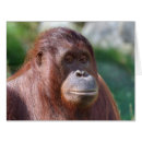 Search for monkey face cards Ape