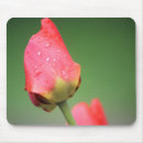 Search for spring birthday mousepads Nature