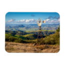 Search for tops magnets Nature