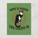 Search for home postcards Cat