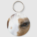 Search for pinto key rings Paint