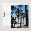 Search for on pine postcards Sunset
