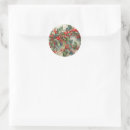Search for holly leaves stickers Watercolor