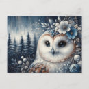 Search for fantasy owl postcards Bird