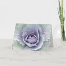 Search for cabbage cards Nature