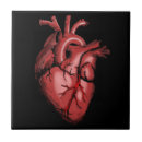 Search for anatomy tiles Medical