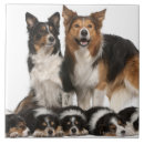 Search for togetherness tiles Sitting