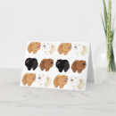 Search for chow chows postcards Breed