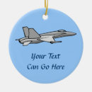 Search for fighter pilot Plane