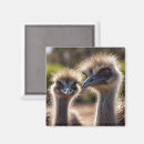 Search for emu magnets Australian