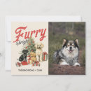 Search for pet lover christmas cards Dog animal lover