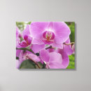 Search for stem canvas prints Green