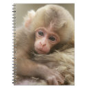 Search for cute monkey notebooks Animal