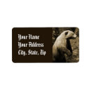 Search for grizzly return address labels Nature