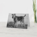 Search for airedale terrier dog cards Airdale