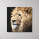 Search for black lion canvas prints Africa