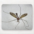 Search for insect mousepads Bug