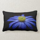 Search for blue and black cushions Floral