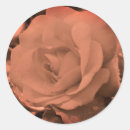 Search for vintage rose stickers Nature