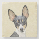 Search for toy coasters Terrier