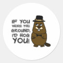 Search for ground hog stickers Happy groundhog day