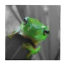 Search for green frog tiles Toad