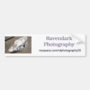 Search for bumper photography Landscape